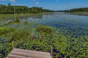 15 Holly Lake Ct, Defuniak Springs, FL 32433 - Photo 3