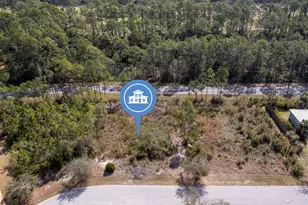 155 Shallow Reed, Port Saint Joe, FL 32456 - Photo 9