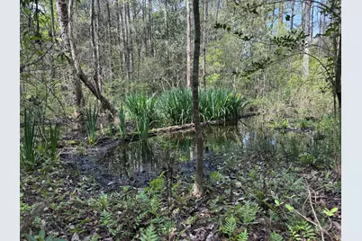 190 Meadowbrook Lane, Defuniak Springs, FL 32435 - Photo 67