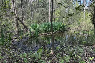 190 Meadowbrook Ln, Defuniak Springs, FL 32435 - Photo 67