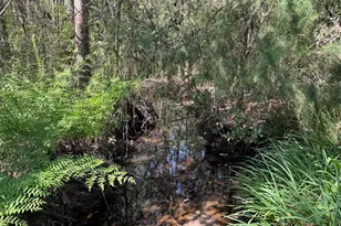 190 Meadowbrook Ln, Defuniak Springs, FL 32435 - Photo 9