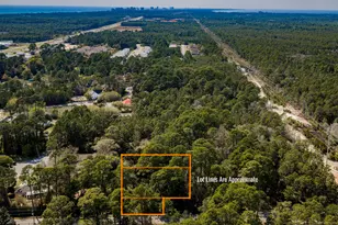 151 Don Bishop Rd, Santa Rosa Beach, FL 32459 - Photo 9