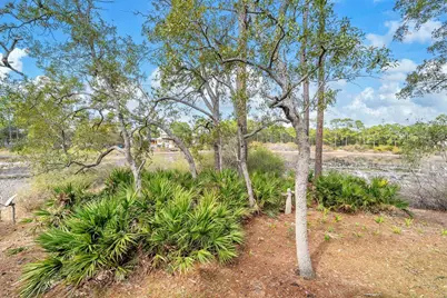 115 Satinwood & Lot 18 Gov Sd Drive, Santa Rosa Beach, FL 32459 - Photo 49