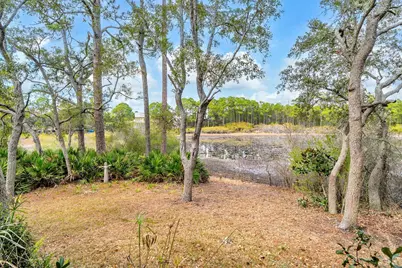 115 Satinwood & Lot 18 Gov Sd Drive, Santa Rosa Beach, FL 32459 - Photo 67
