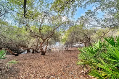 115 Satinwood & Lot 18 Gov Sd Drive, Santa Rosa Beach, FL 32459 - Photo 59