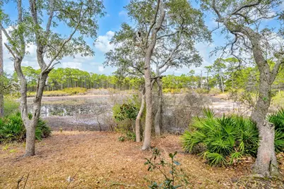 115 Satinwood & Lot 18 Gov Sd Drive, Santa Rosa Beach, FL 32459 - Photo 3
