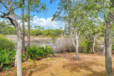 115 Satinwood & Lot 18 Gov Sd Drive, Santa Rosa Beach, FL 32459 - Photo 51