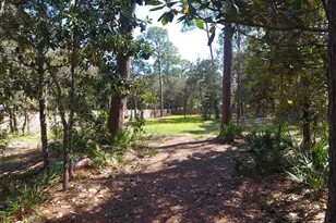 172 E Harborview Rd, Santa Rosa Beach, FL 32459 - Photo 1