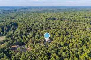 1397 S Co Hwy 183, Defuniak Springs, FL 32435 - Photo 43