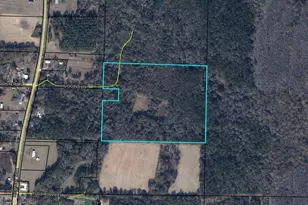 00 Huggins Ln, Westville, FL 32464 - Photo 1