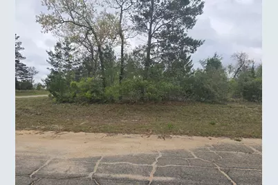 Tbd Otis Lane, Chipley, FL 32428 - Photo 3