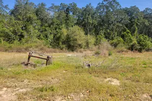 76 German Club Rd, Defuniak Springs, FL 32433 - Photo 7