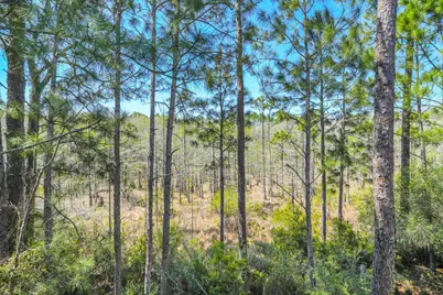 74 Cypress Drive, Santa Rosa Beach, FL 32459 - Photo 51