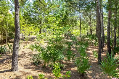 Lot 7 Shore Bridge Circle, Watersound, FL 32461 - Photo 3