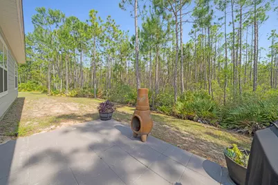 102 Eagle Haven Drive, Santa Rosa Beach, FL 32459 - Photo 37
