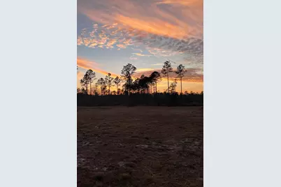 40 Acres Waverly Orchard Circle, Freeport, FL 32439 - Photo 15