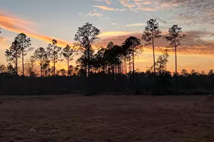 40 Acres Waverly Orchard Circle, Freeport, FL 32439 - Photo 15