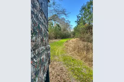 1398 St Marys Road, Caryville, FL 32427 - Photo 5