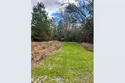 1398 St Marys Road, Caryville, FL 32427 - Photo 3