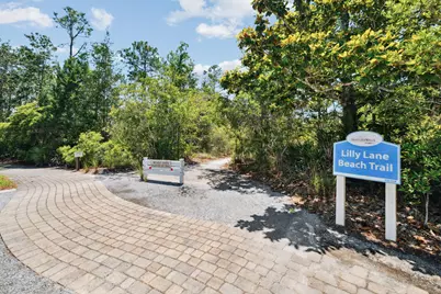24 Lovegrass Way, Santa Rosa Beach, FL 32459 - Photo 49