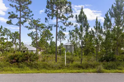 224 Plantation Circle #Lot 58, Santa Rosa Beach, FL 32459 - Photo 3