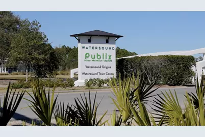332 Pollard Cove East #Lot 118, Watersound, FL 32461 - Photo 55