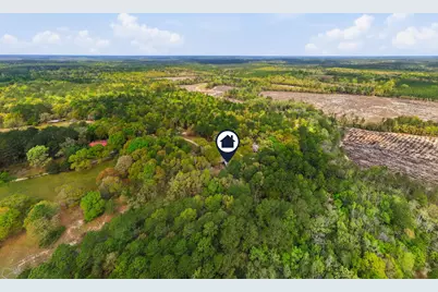 7953 Crawford Road, Laurel Hill, FL 32567 - Photo 9