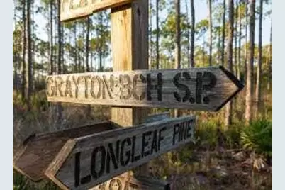 Lot 35 E Georgie Street, Santa Rosa Beach, FL 32459 - Photo 5