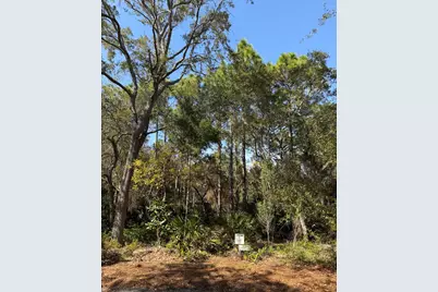 42 Bosk Lane, Santa Rosa Beach, FL 32459 - Photo 5