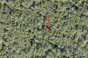 Tbd N Named Rd, Defuniak Springs, FL 32433 - Photo 1