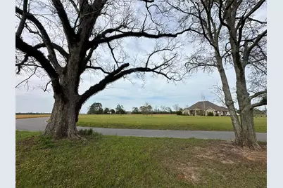 10+/- Ac Vinson Ray Road, Baker, FL 32531 - Photo 1