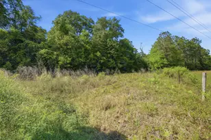 Tbd Hilton Trail, Baker, FL 32531 - Photo 1