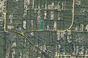 Lot 51 John Nix Rd, Crestview, FL 32539 - Photo 1
