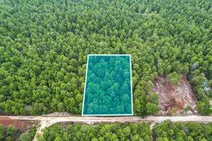 0 Big Cypress, Defuniak Springs, FL 32433 - Photo 1