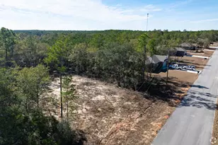 Lot 6 Black Bear Ct, Defuniak Springs, FL 32435 - Photo 1