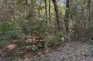 Tbd Painter Branch Rd, Crestview, FL 32539 - Photo 1
