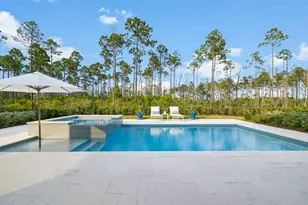282 W Lafayette Rd, Inlet Beach, FL 32461 - Photo 1