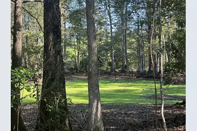 Parcel E Millside Road, Laurel Hill, FL 32567 - Photo 1