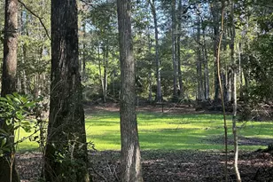 Parcel E Millside Rd, Laurel Hill, FL 32567 - Photo 1