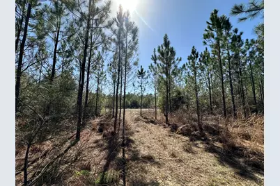 Tract#6416 Douglas Ferry North Road, Caryville, FL 32427 - Photo 1