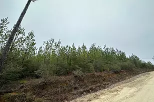 Tract#6418 N Mattox Springs Rd, Caryville, FL 32427 - Photo 1