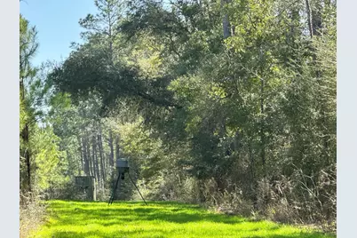 Tract#6416 S Douglas Ferry Road, Caryville, FL 32427 - Photo 1