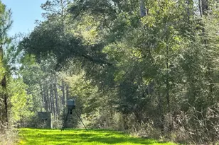 Tract#6416 S Douglas Ferry Rd, Caryville, FL 32427 - Photo 1
