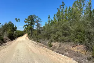 Tract#6418 Mattox Springs Rd, Caryville, FL 32427 - Photo 1