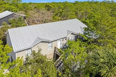 316 Robert Ellis Street, Santa Rosa Beach, FL 32459 - Photo 1