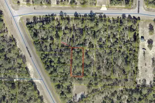 Lots 24/25 Off Girl Scout Rd, Defuniak Springs, FL 32433 - Photo 1