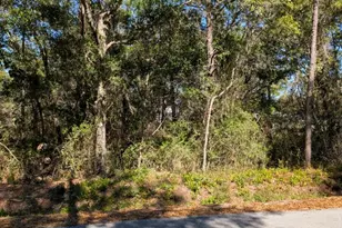 0 Morrison Ave, Santa Rosa Beach, FL 32459 - Photo 1