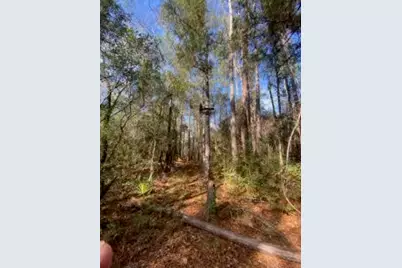 Parcel C Sunburst Drive, Crestview, FL 32539 - Photo 1