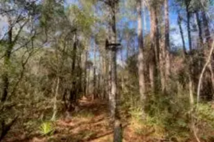Parcel C Sunburst Dr, Crestview, FL 32539 - Photo 1