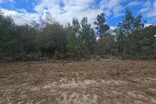 Tbd Hampshire Blvd, Chipley, FL 32428 - Photo 1